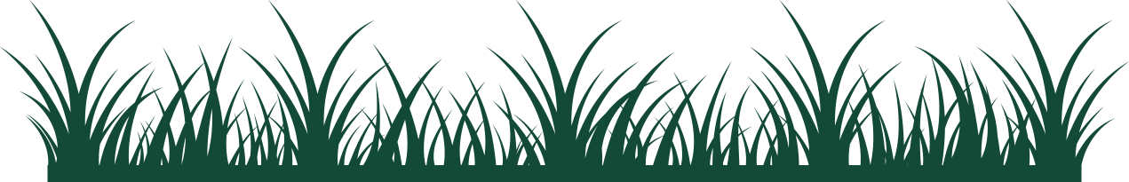 grass pattern
