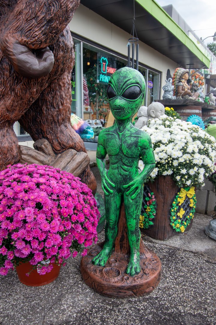 Amazing Lawn Decor
