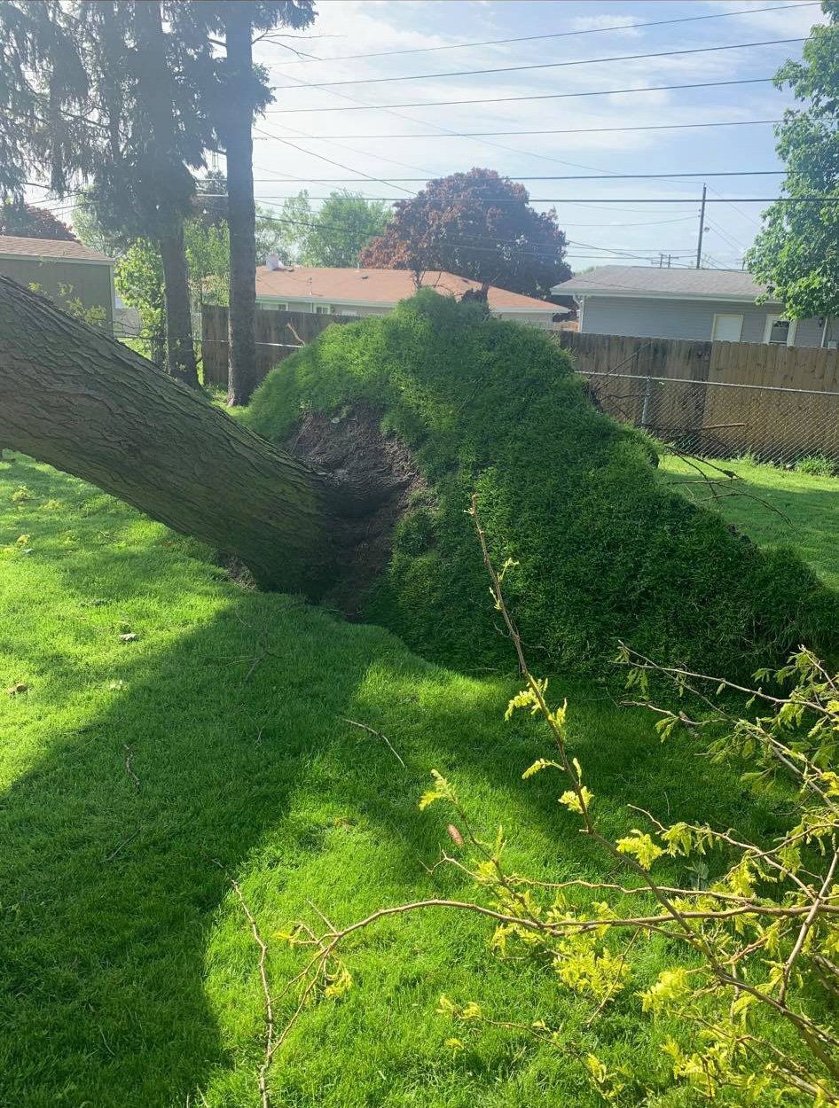 Storm Clean Up Services