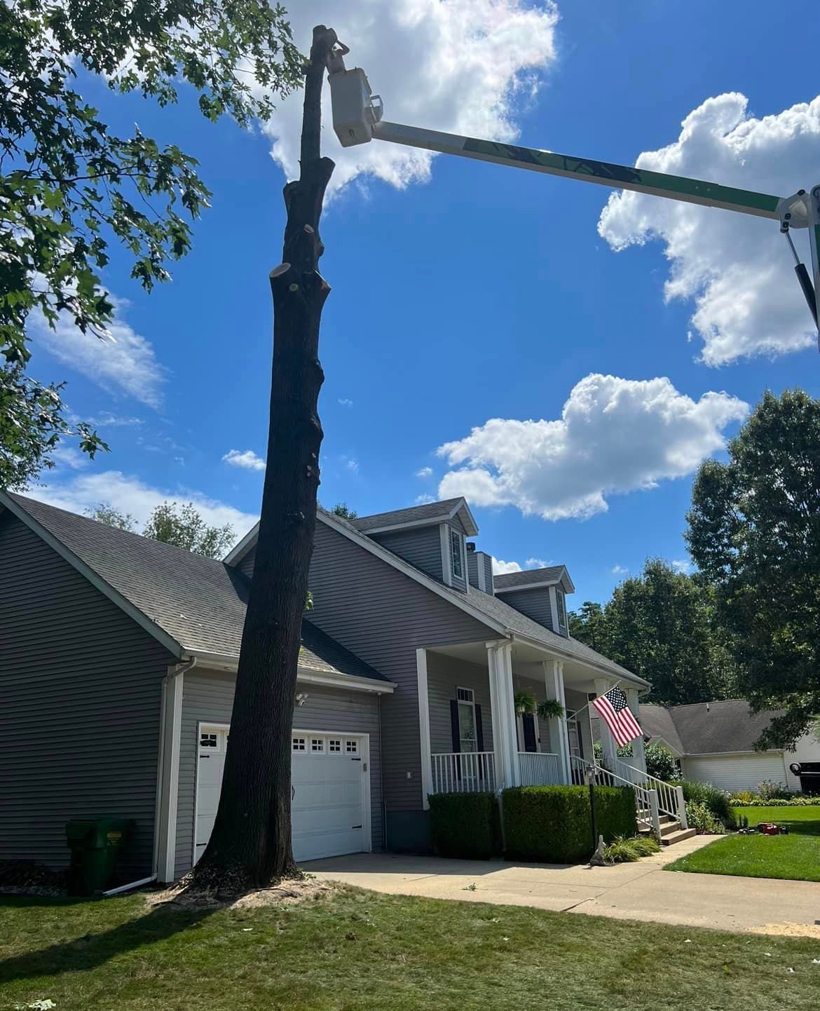 Tree Service