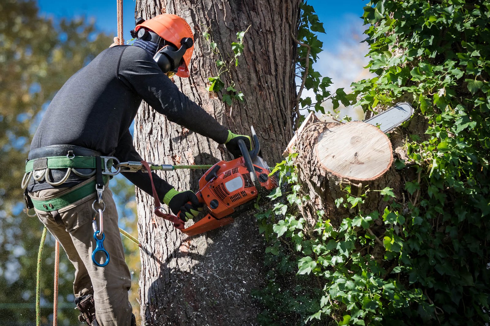 Tree Cutting Company