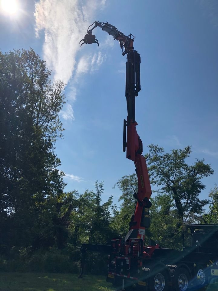 south bend tree service