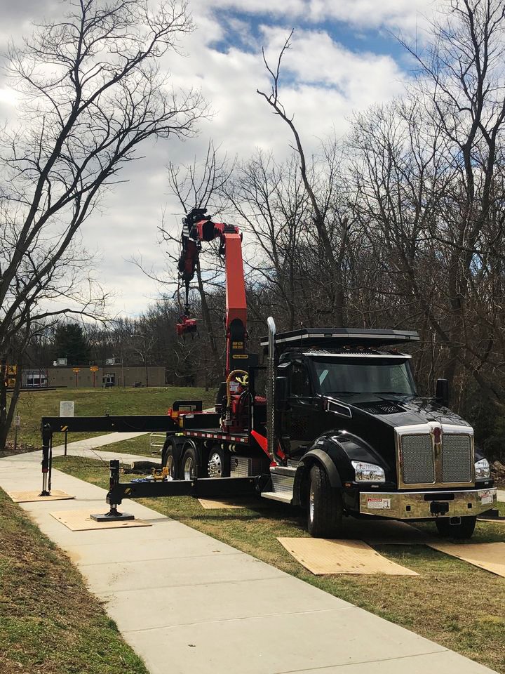 tree services