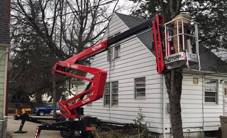 tree service company