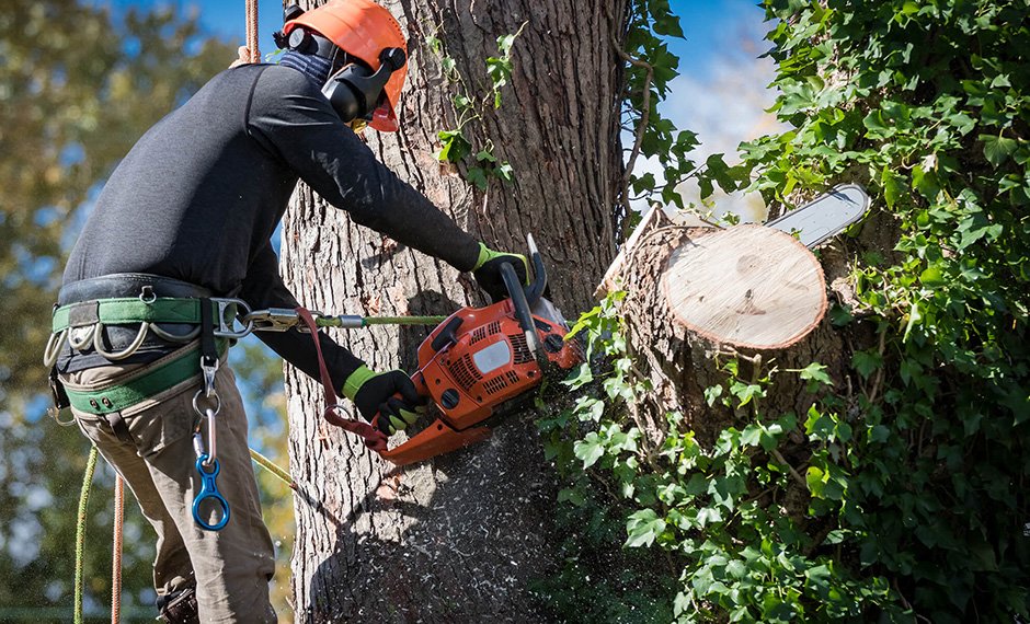 tree service company in south bend