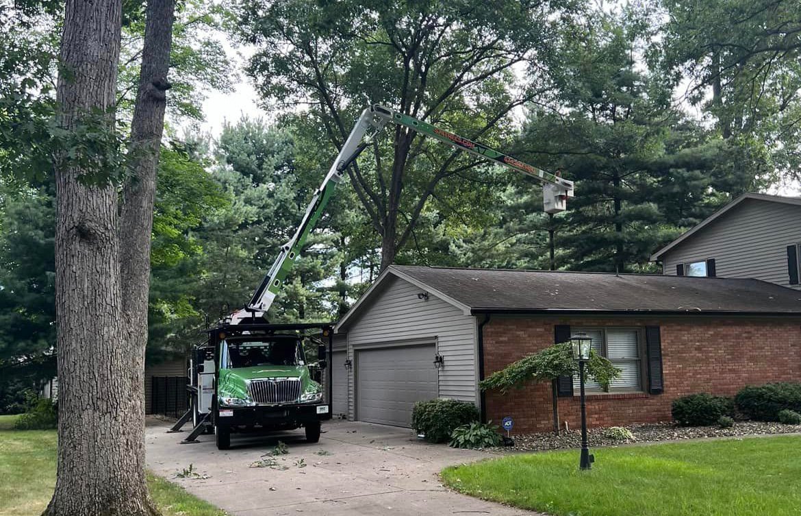 Tree Trimming Services in South Bend